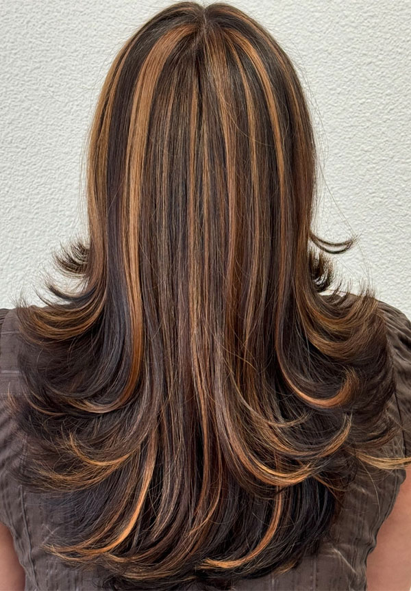 Chocolate Brown with Honey Highlights | Trending Global Hair Colours with Highlights for Indian Skin