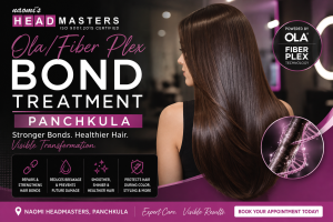 Read more about the article Ola/Fiber Plex bond treatment in Panchkula